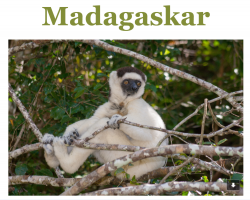 Madagaskar 10d rondreizen