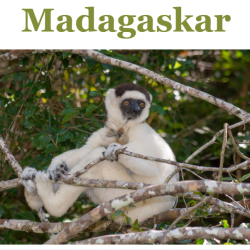 image: Madagaskar 10d rondreizen