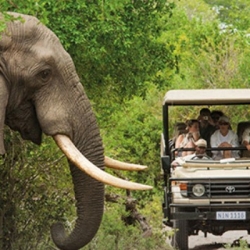 image: Safari in Zuid-Afrika