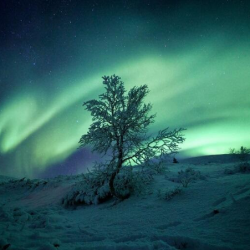 image: Eindejaar in Lapland
