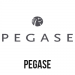 Pegase Travel